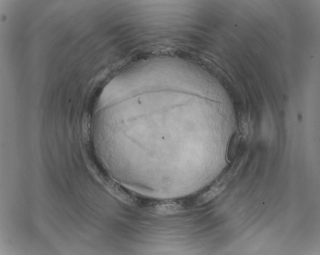 X0000068320468200605192037