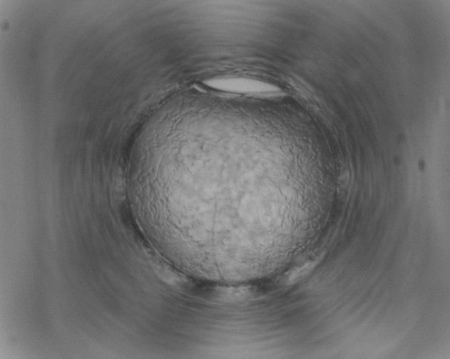 X0000068320469200605192037