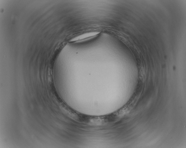 X0000068320470200605192037