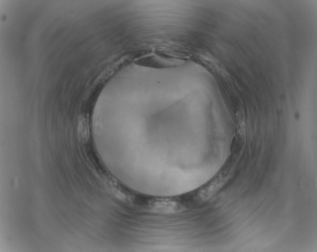 X0000068320471200605192038