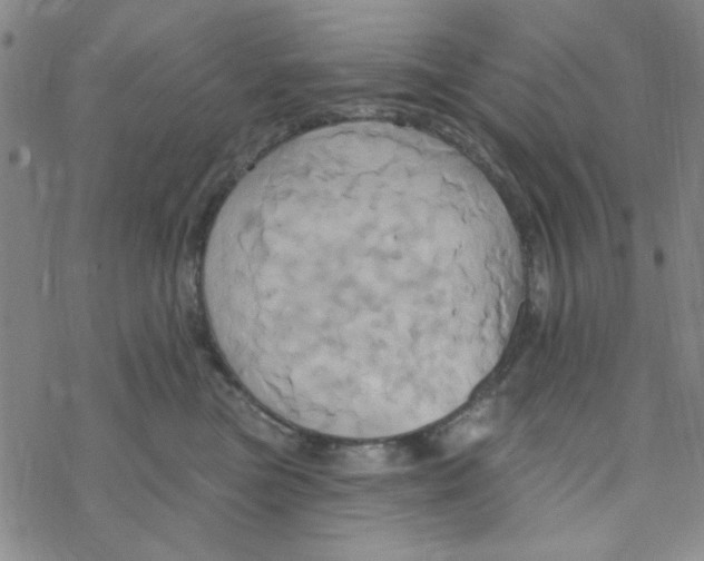 X0000068320473200605192038