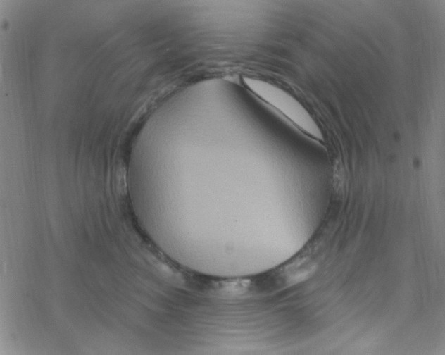 X0000068320474200605192038