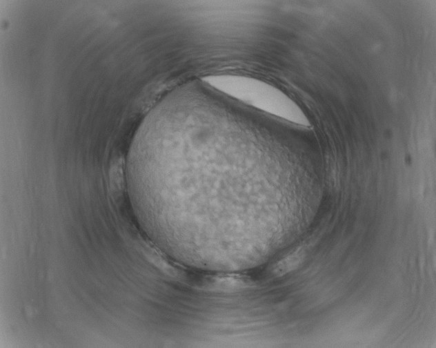 X0000068320475200605192038