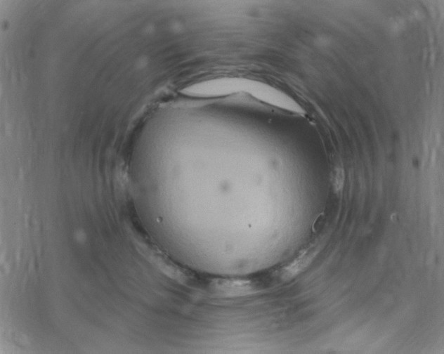 X0000068320476200605192038