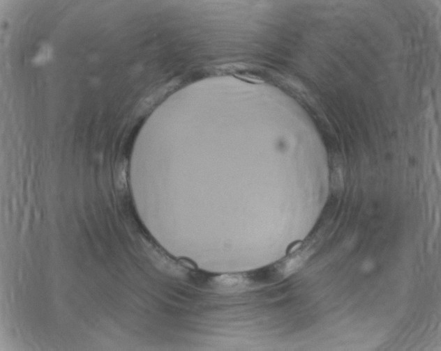 X0000068320477200605192038