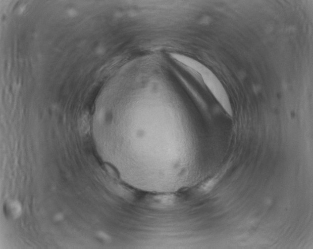 X0000068320478200605192038