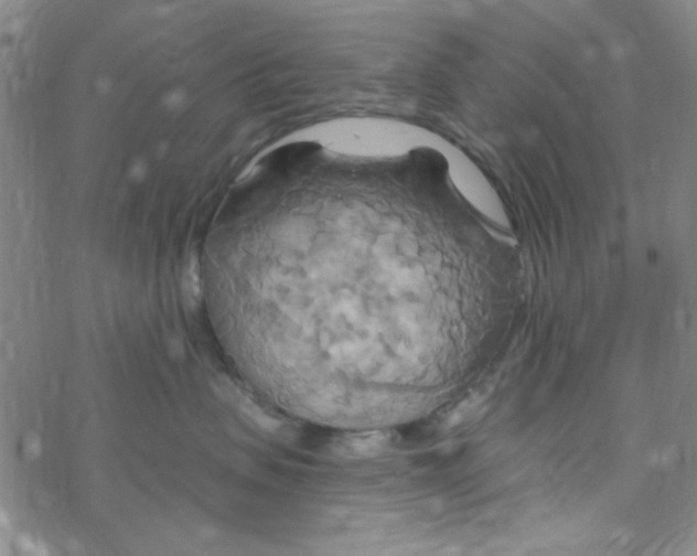 X0000068320479200605192038