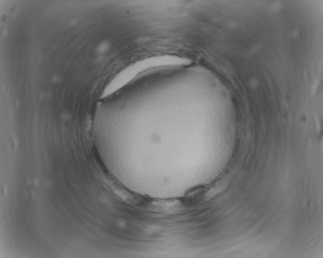 X0000068320480200605192038