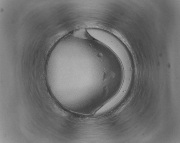 X0000068320481200605192037