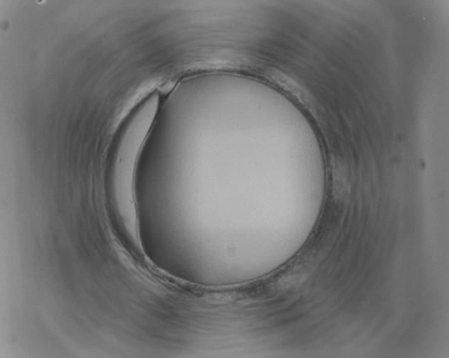 X0000068320482200605192037