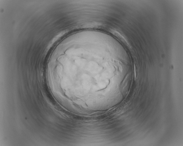 X0000068320483200605192037