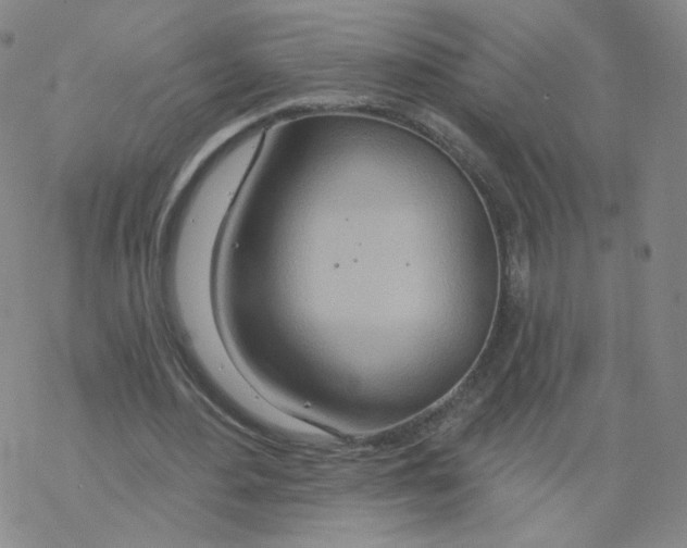 X0000068320484200605192037