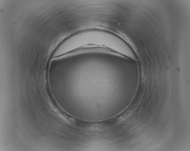 X0000068320485200605192037