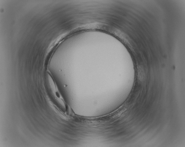 X0000068320486200605192037