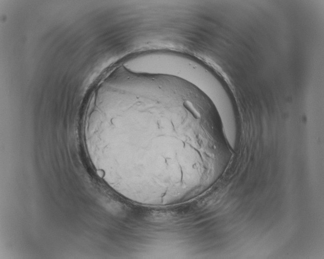 X0000068320487200605192037