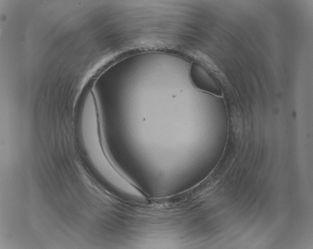 X0000068320488200605192037