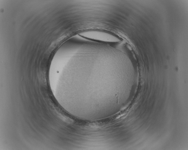 X0000068320489200605192037