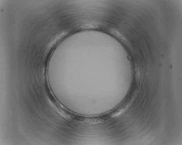 X0000068320490200605192037