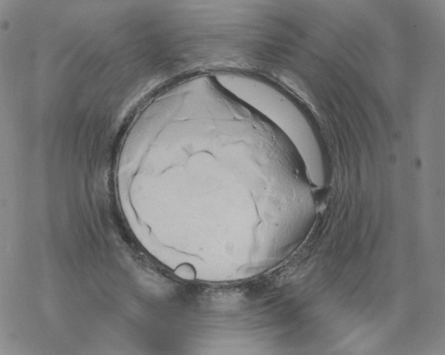 X0000068320491200605192037