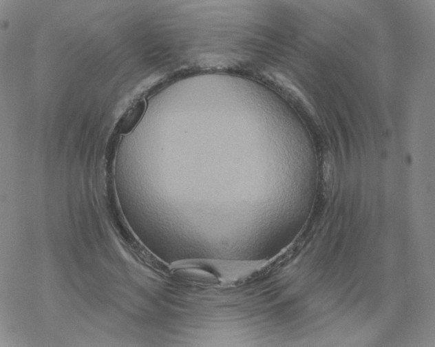 X0000068320492200605192037