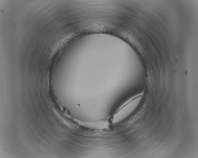 X0000068320493200605192037