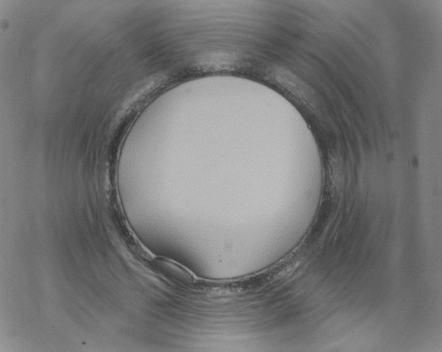 X0000068320494200605192037