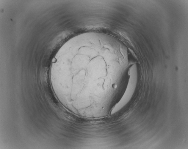 X0000068320495200605192037