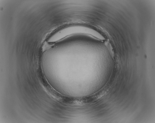 X0000068320496200605192037