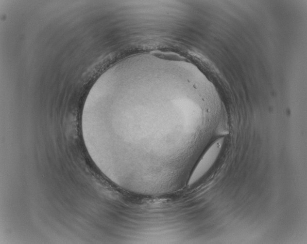 X0000068320497200605192037