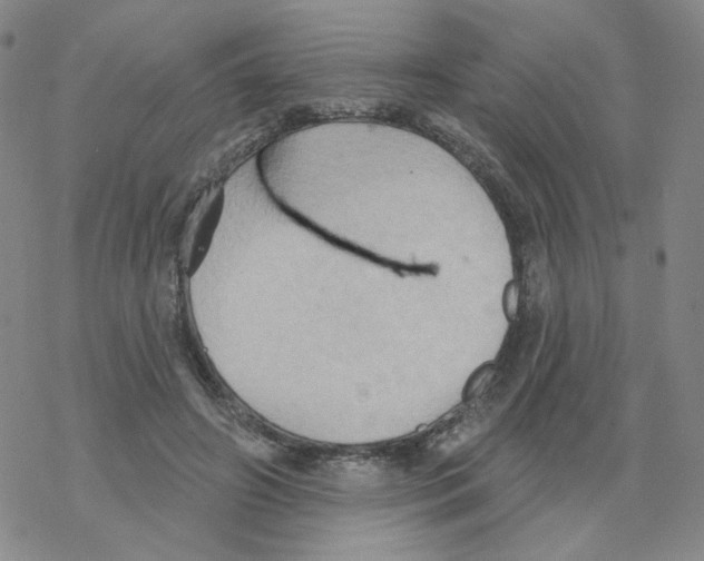 X0000068320498200605192037