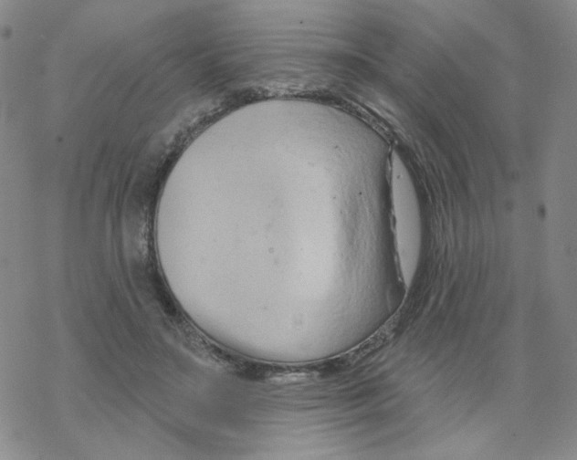 X0000068320499200605192036