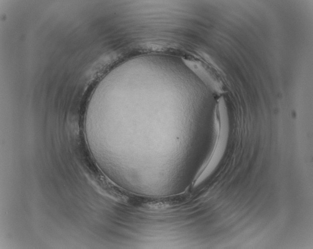 X0000068320500200605192036