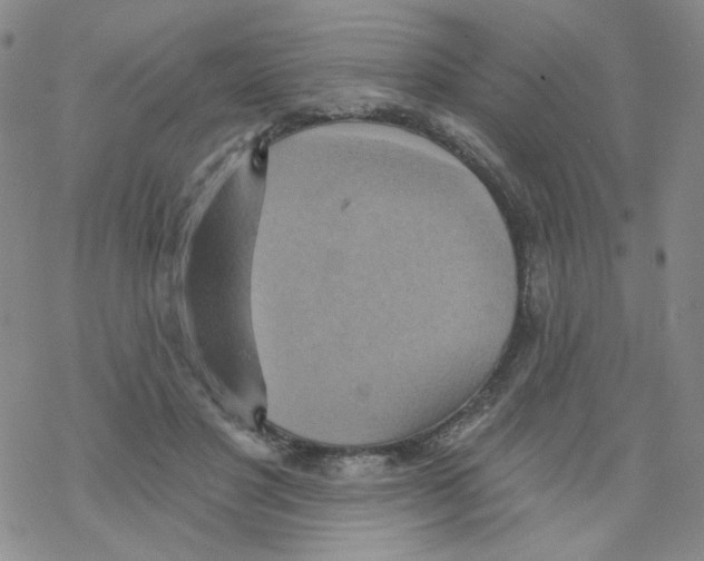 X0000068320501200605192036