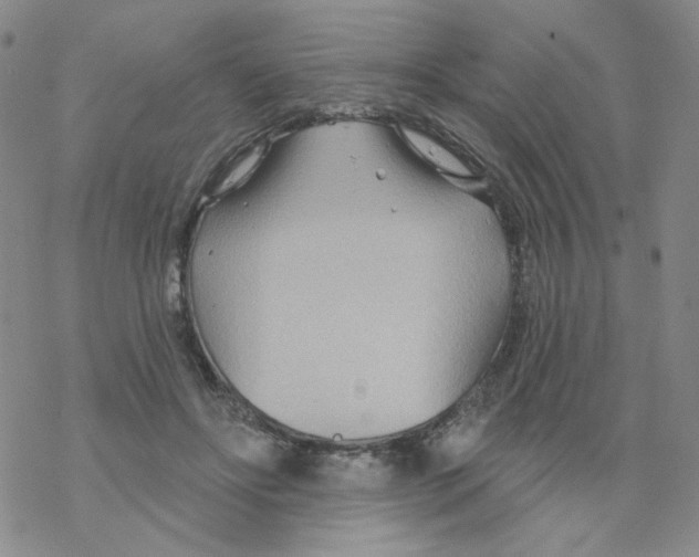 X0000068320502200605192036