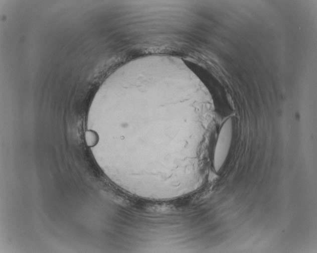 X0000068320503200605192036