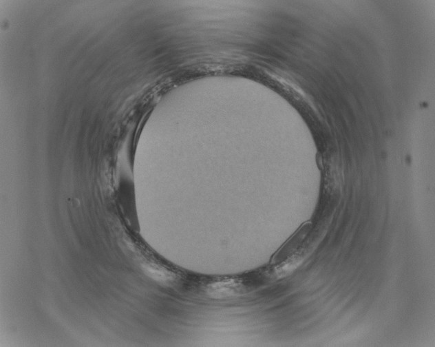 X0000068320505200605192036