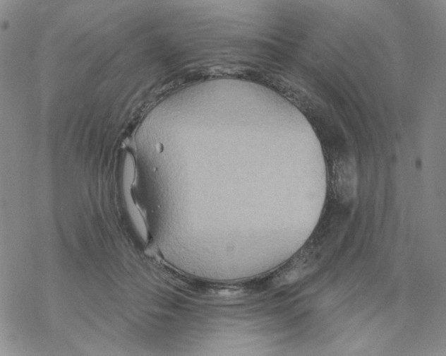 X0000068320506200605192036