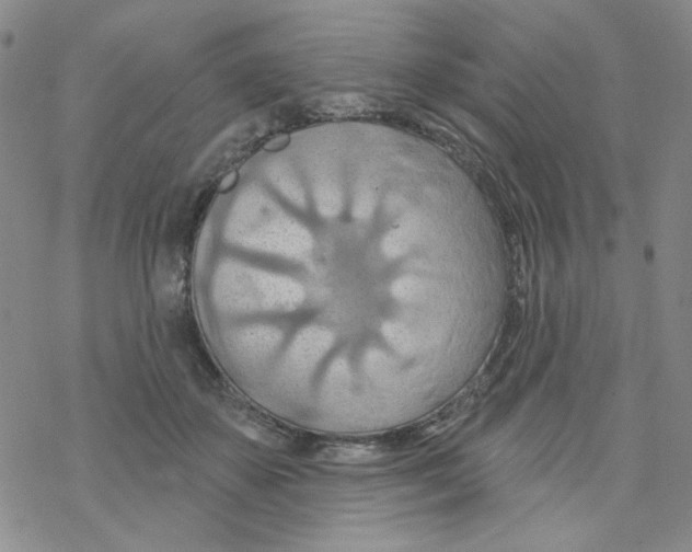 X0000068320507200605192036