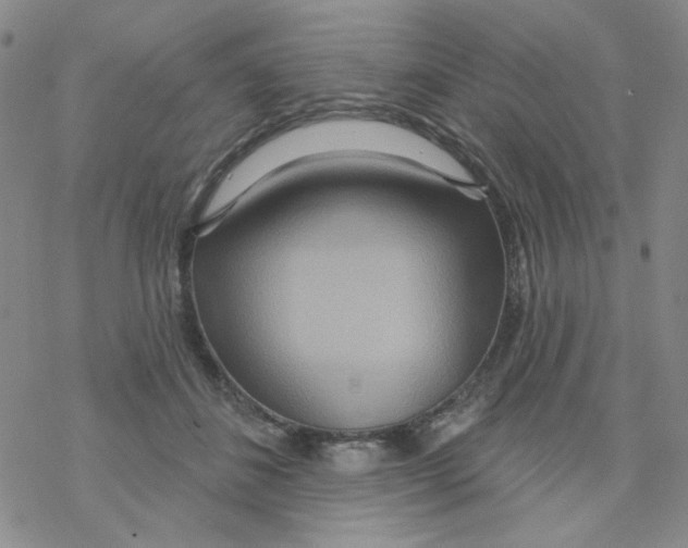 X0000068320508200605192036