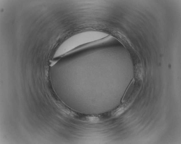 X0000068320509200605192036