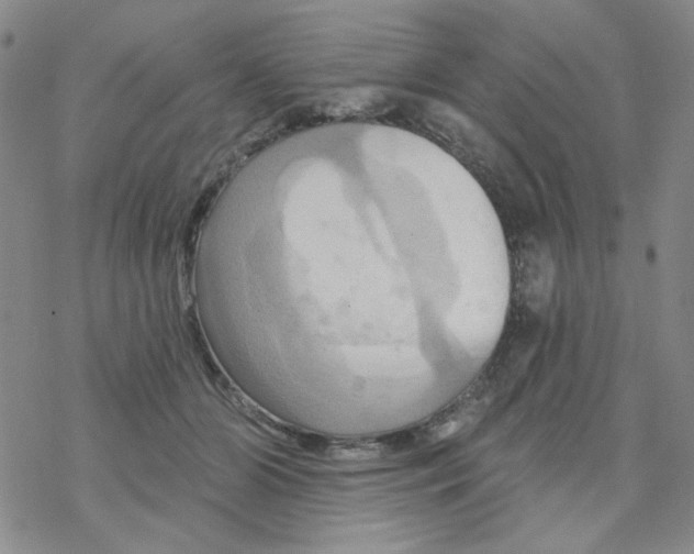 X0000068320510200605192036