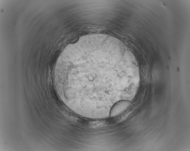 X0000068320511200605192036