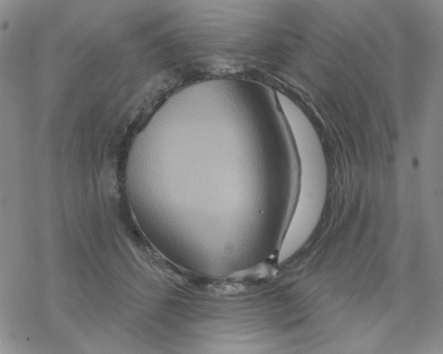 X0000068320512200605192036