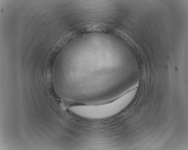 X0000068320513200605192036