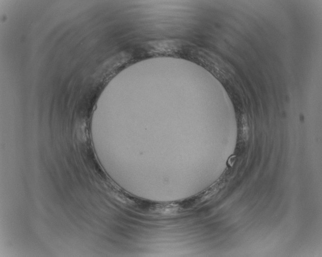 X0000068320514200605192036