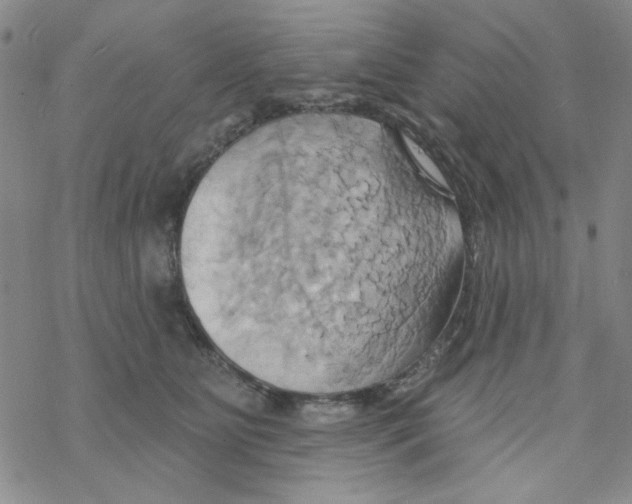 X0000068320515200605192036