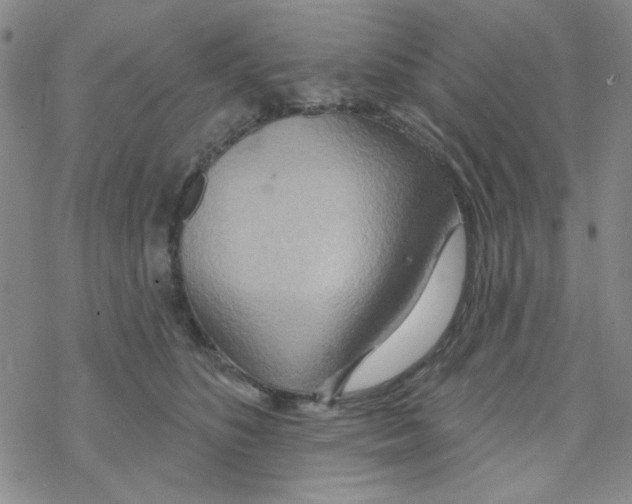 X0000068320516200605192036