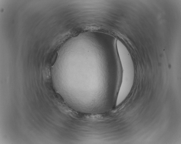 X0000068320517200605192036