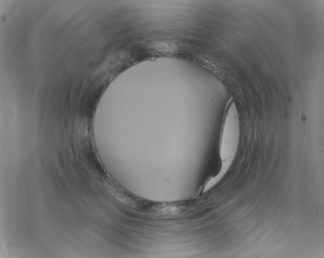 X0000068320518200605192036