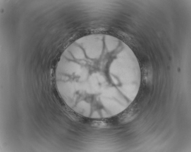 X0000068320519200605192036